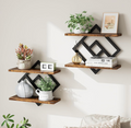 UrbanWood Double-Layer Wall Shelf